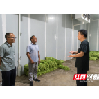 从开福到城步：调研走访赴一线 乡村振兴看成效