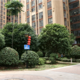 及时整治解难题 垃圾站周边居民“不受气”