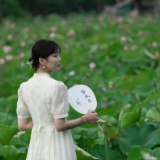 “荷”你有约，开福等你！