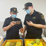 进口水果“抢鲜”入长 7月以来长沙机场口岸日均进口水果约2.9吨