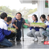 星城追光者丨朱柱：“一米先生”的“百亩良田梦”