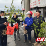 星城追光者丨赵光权：“荒山”变“花果山”，带领村民富起来