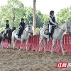 飒飒飒！“小骑手”上阵 法国马术考级在长沙拾上举行