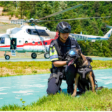 视频 | 警犬克服恐高天性 和特警们坐上直升机“从天而降”