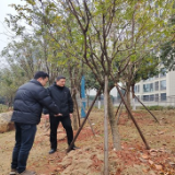 “走找想促”星成效 | “四单”机制构建宜居家园