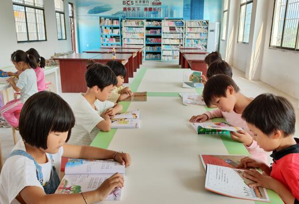 邵阳武冈大甸中心小学：点亮成长的“阅读树”