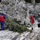 党员干部沉一线 除冰清雪显担当