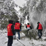 风雪集结“红”先锋 服务群众“邻”距离