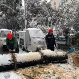 党员干部齐上阵 吹响铲雪除冰“集结号”