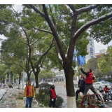 织牢“安全网” 为群众安全拧紧“阀门”
