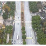 “走找想促”星成效 | 斑马线前“画标记”，行人过街更安全