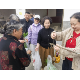 城乡对接、村社互进 党建引领乡村振兴