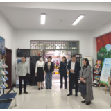 家门口的老年学校 “1+N”模式点亮“夕阳红”