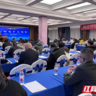 让人工智能赋能新型工业化 长沙开展专场供需对接