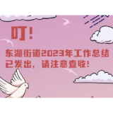 东湖街道｜奋楫笃行亮答卷 扬帆起航谱新篇