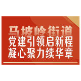 图解 | 党建引领启新程 凝心聚力续华章