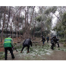 长沙生态动物园：打好抗冰除雪“硬仗”让游客游玩无忧