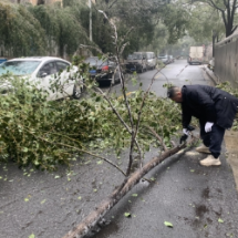 冻雨来袭 网格巡查保平安