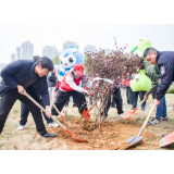 党群齐发力 绿满九道湾