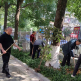 党员志愿服务进网格 植树补绿美环境