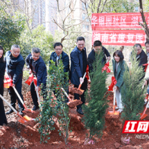 种植中药材 雨花区首家中医药文化科普园开建