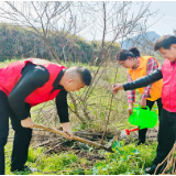 “邻长”自掏腰包购树苗 植树护绿美家园