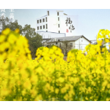 海报 | 繁花·长沙县