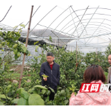 专家带科技下苗乡 农业产业发展有了“智囊团”