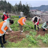 学雷锋树新风 志愿服务暖人心