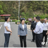 吴桂英：筑牢森林防火“安全线” 厚植山水洲城“长沙绿”