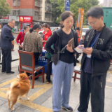 家门口给爱犬“上户口” “一站式”服务暖人心