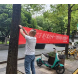 利剑护蕾 守护花开