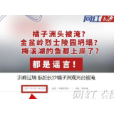 视频 | 橘子洲头被淹？金盆岭烈士陵园坍塌？梅溪湖的鱼都上岸了？都是谣言！