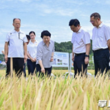 吴桂英：学习“千万工程”经验 推进乡村全面振兴