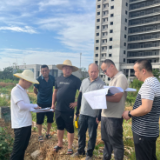 “高温”加持 “热度”不减 㮾梨连续攻坚清零2个项目