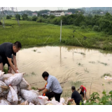 新老党员齐聚力 坚守一线战风雨