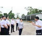 吴桂英：从严从实抓好安全生产 营造平安祥和节日氛围