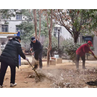新春焕新颜 居民齐扫花园迎蛇年