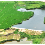 海报 | 蝶变向春行，沃野映新颜