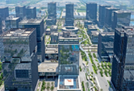 开篇概述｜“科创雨林”百花香