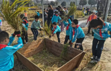 感悟非遗魅力 体验农耕乐趣