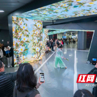 “真香市集”闪现长沙地铁,湖南茶油香飘星城