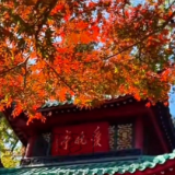 视频 | 爱晚亭枫叶红了！长沙顶流“枫”景已上线