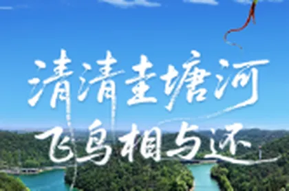 H5丨清清圭塘河 飞鸟相与还