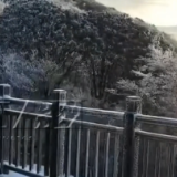 视频 | 长沙这里下雪了！