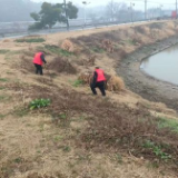 守护碧水清流 共建生态家园