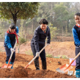 长沙开展集中义务植树活动 吴桂英周海兵等参加