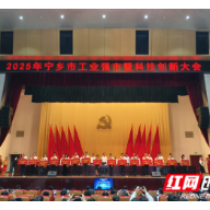 “全链式”服务创业大学生 宁乡发布“金种子沃土计划”二十条