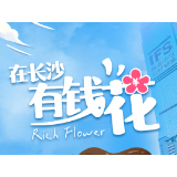海报丨在长沙 有钱“花” 真敢“花”