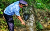 “三链”协同 绘就水清鱼跃“星”画卷